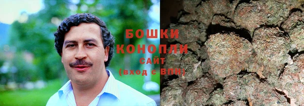 spice Аркадак