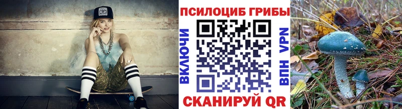 Галлюциногенные грибы ЛСД  наркотики  Сясьстрой 